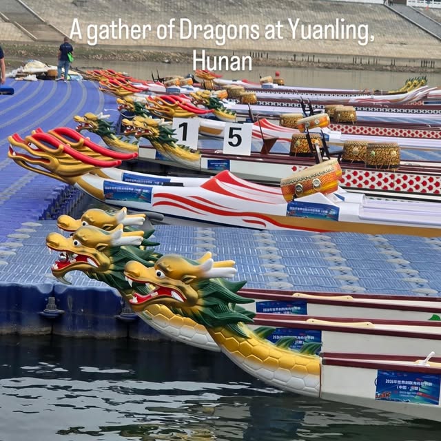 Colourful dragonboat bows lined up in Yuanling, Hunan